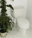 Custom Toilet Installation #3